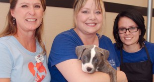 Best Animal Welfare Organizations in the World
