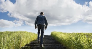 Reasons Why Stairs Are Good For Health