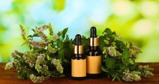 Best Health Benefits of Peppermint