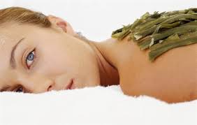 Seaweed Body Treatment