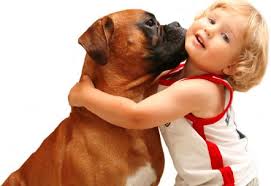 Best Poems about Pets