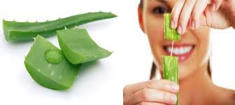 Most Amazing Beauty Benefits of Aloe Vera