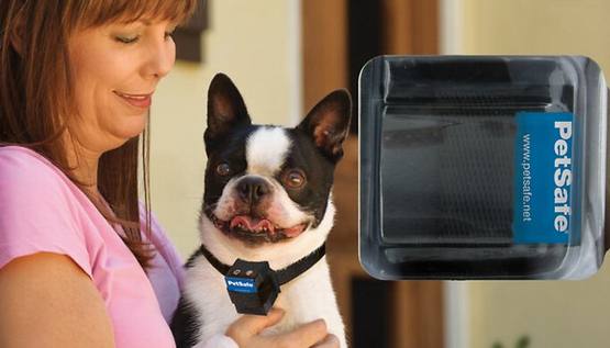 Top 10 Best Dog Bark Control Collars in 2016 Reviews